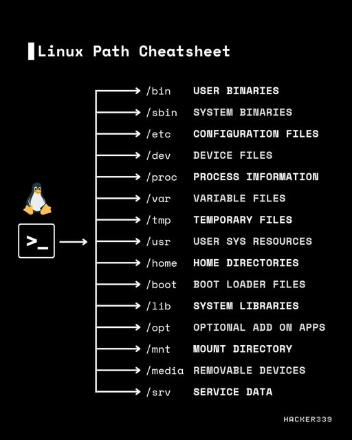 Panduan Lengkap Struktur Direktori Linux: Cheatsheet Wajib untuk Pemula
